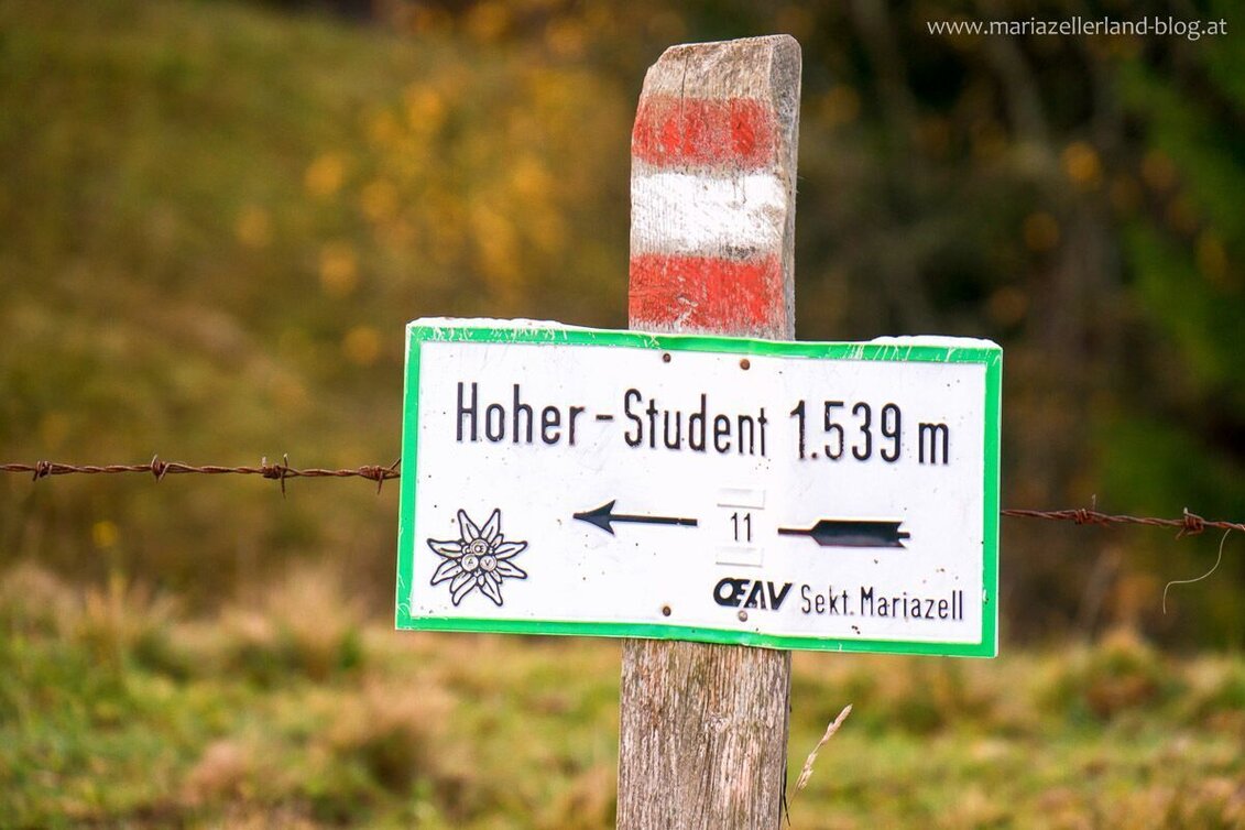 Wanderung Über den Freinsattel auf die Hohe Student im Naturpark Mürzer Oberland - Touren-Impression #1 | © TV Hochsteiermark