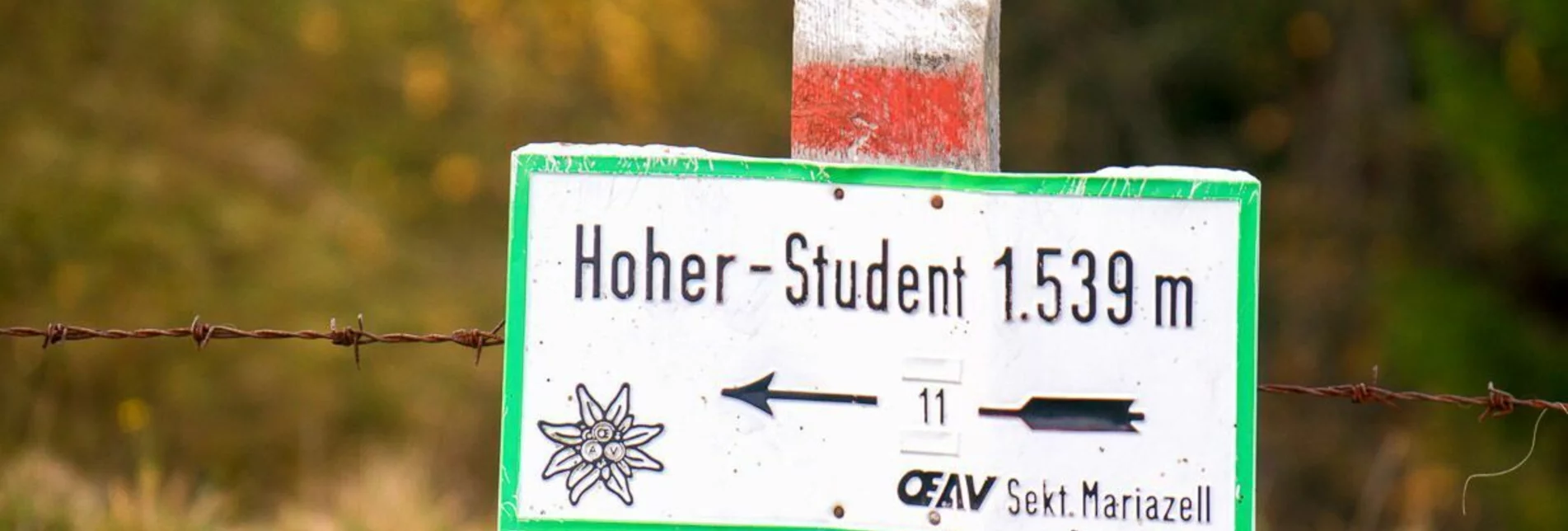 Hiking route Über den Freinsattel auf die Hohe Student im Naturpark Mürzer Oberland - Touren-Impression #1 | © TV Hochsteiermark