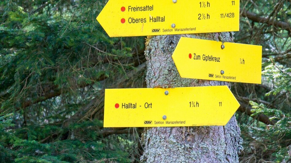 Wanderung Über den Freinsattel auf die Hohe Student im Naturpark Mürzer Oberland - Touren-Impression #2.2 | © TV Hochsteiermark
