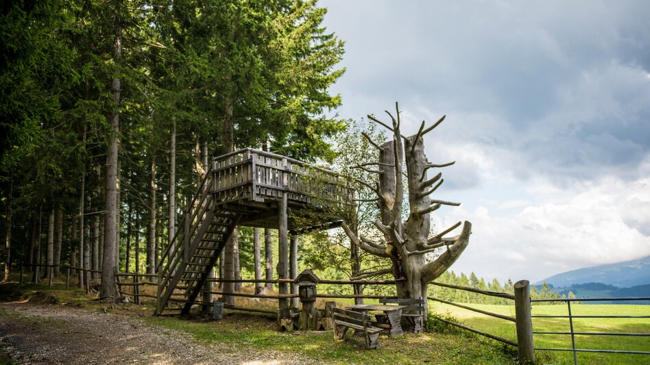 Wanderung Von Obdach über Erlebniswanderweg zur Aussichtsplattform St. Anna - Touren-Impression #2.1 | © A_FOESSL