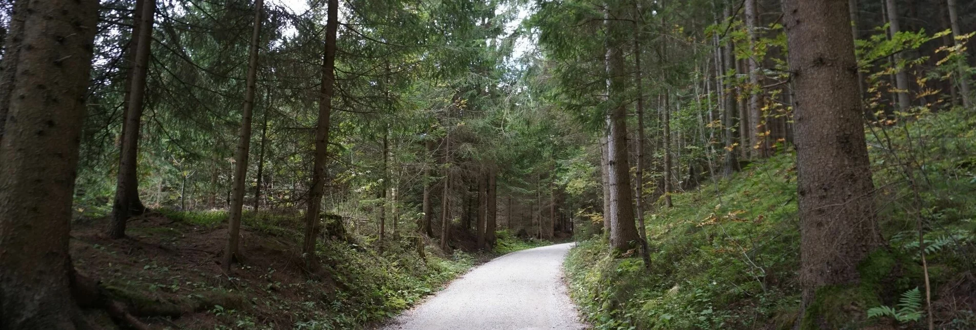 Hiking route Saugmoarunde - Touren-Impression #1 | © Erlebnisregion Murtal