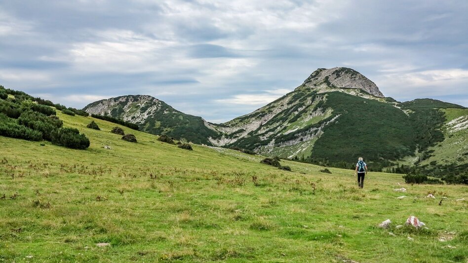 Bergtour Kräuterin Hochstadl Überschreitung - Touren-Impression #2.7 | © TV Gesäuse