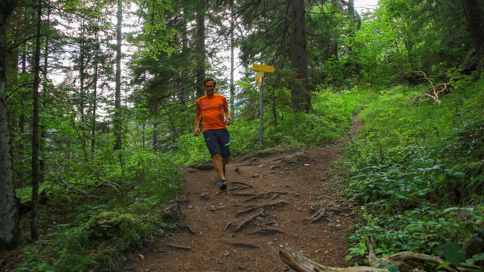 Trailrunning Wörschachklamm-Trail - Touren-Impression #2.2 | © Erlebnisregion Schladming-Dachstein