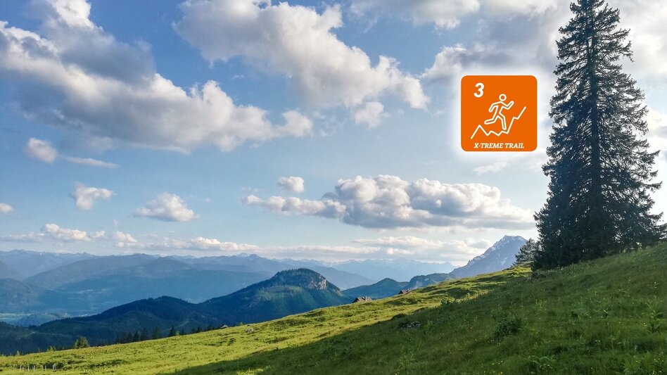 Trailrunning Tausing Laufrunde - Touren-Impression #2.4 | © Erlebnisregion Schladming-Dachstein