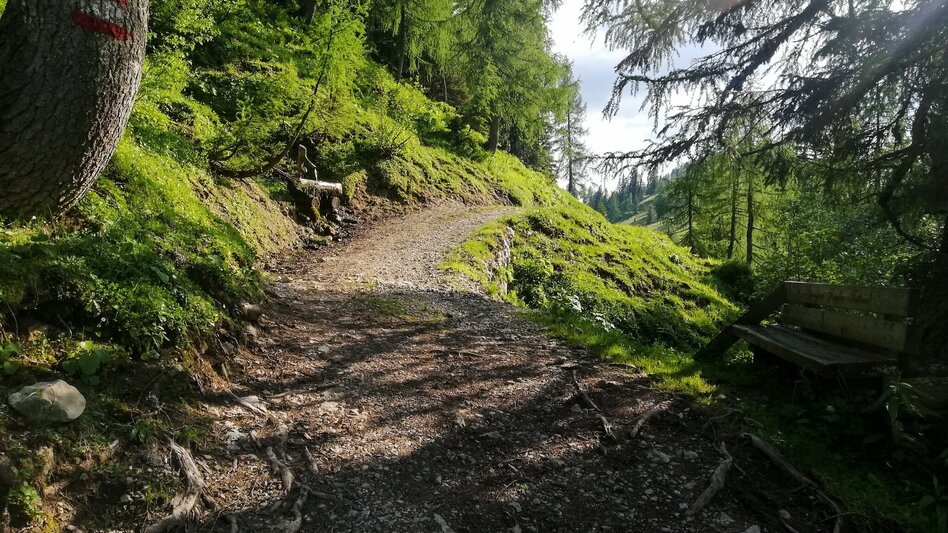 Trailrunning Tausing Laufrunde - Touren-Impression #2.1 | © Erlebnisregion Schladming-Dachstein