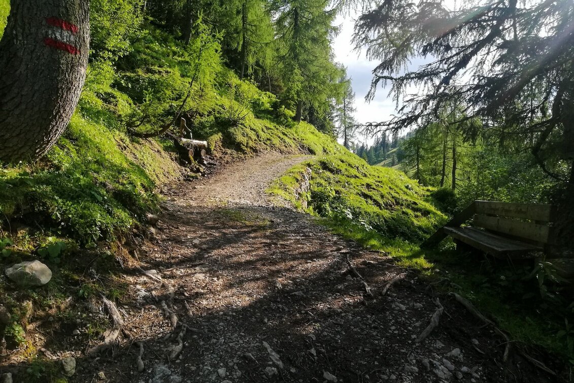 Trailrunning Tausing Laufrunde - Touren-Impression #1 | © Erlebnisregion Schladming-Dachstein