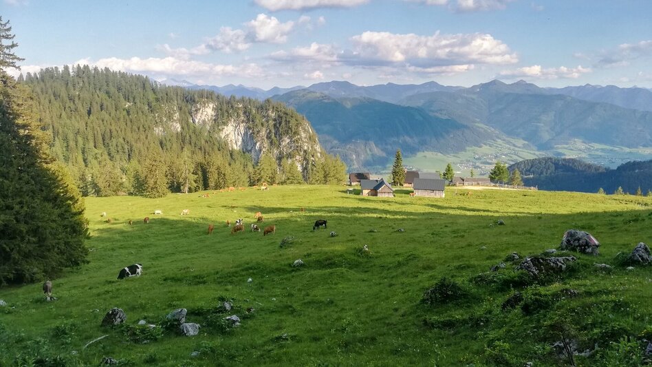 Trailrunning Tausing Laufrunde - Touren-Impression #2.3 | © Erlebnisregion Schladming-Dachstein