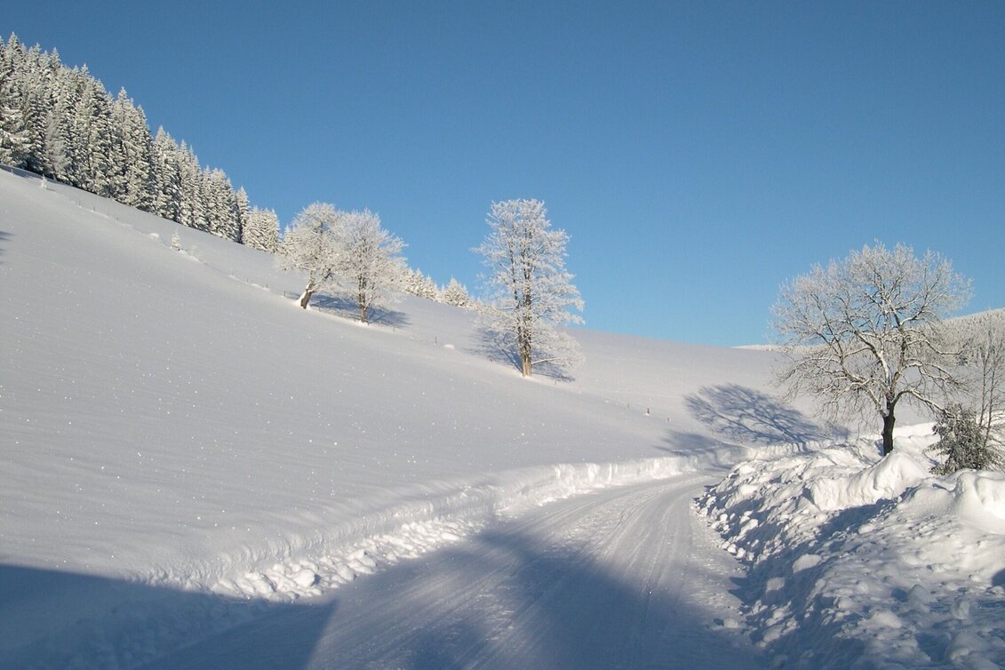 Winter Hiking Winter hiking trail from Feistritztal to Falkenstein, Fischbach - Touren-Impression #1 | © Tourismus Fischbach