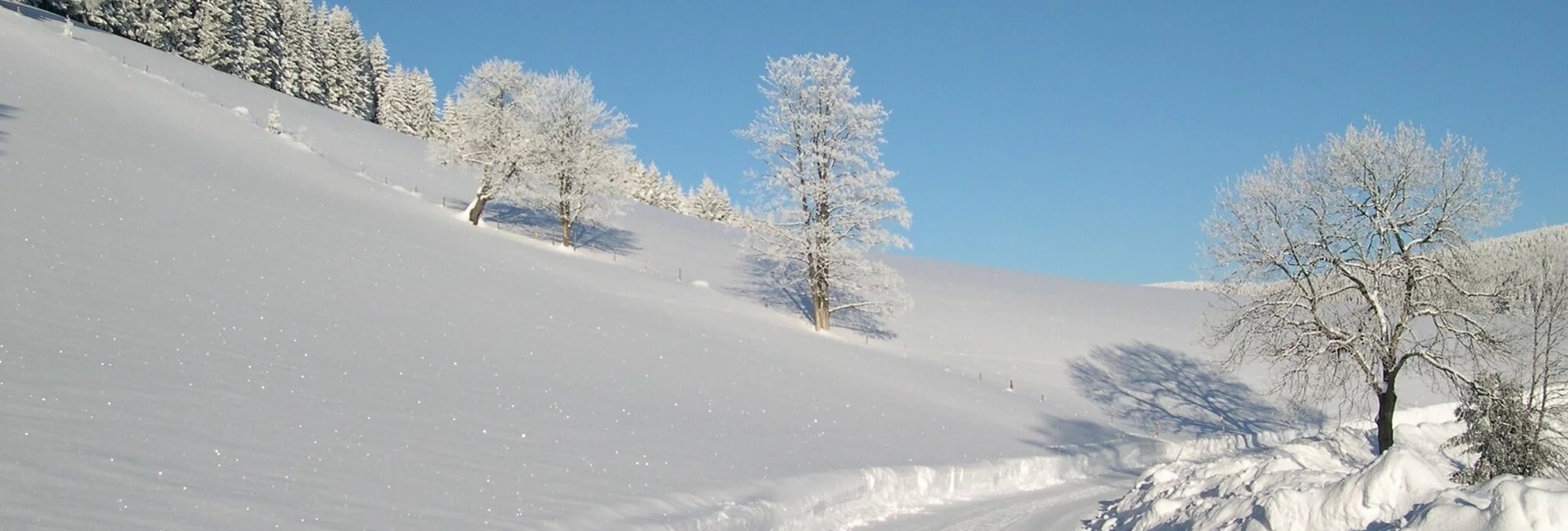 Winterwandern Winterwanderweg vom Feistritztal nach Falkenstein - Touren-Impression #1 | © Oststeiermark Tourismus