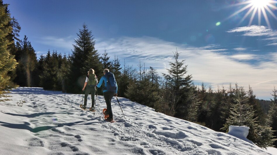 Winter Hiking Winter hiking trail from Feistritztal to Falkenstein, Fischbach - Touren-Impression #2.1 | © Oststeiermark Tourismus