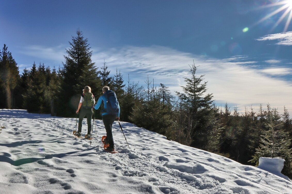 Winter Hiking Winter hiking trail from Feistritztal to Falkenstein, Fischbach - Touren-Impression #1 | © Oststeiermark Tourismus