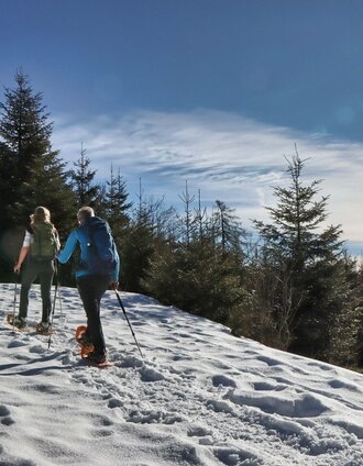 Hike with a view in Fischbach, Eastern Styria | WEGES | © Oststeiermark Tourismus