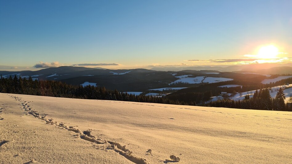 Winter Hiking Winter hiking trail from Feistritztal to Falkenstein, Fischbach - Touren-Impression #2.4 | © Oststeiermark Tourismus