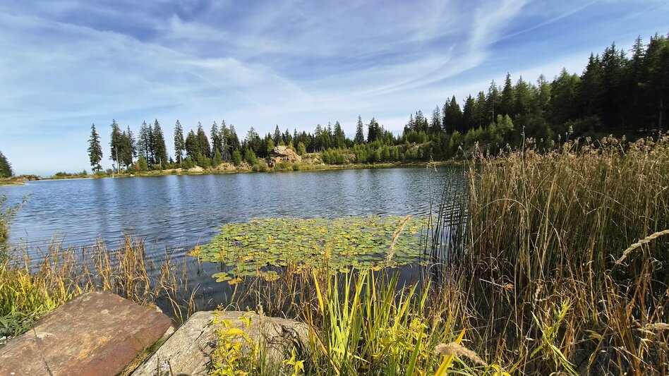 Wanderung Hebalm Seerundweg  - Touren-Impression #2.2 | © Region Graz