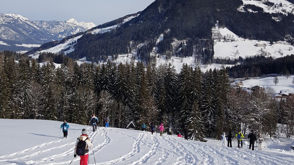 Snowshoe Walking Snowshoe tour in Rohrmoos - Touren-Impression #2.4 | © Gerhard Pilz