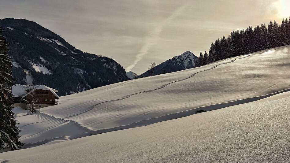 Snowshoe Walking Snowshoe tour in Rohrmoos - Touren-Impression #2.5 | © Gerhard Pilz