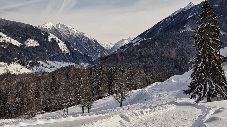 Snowshoe Walking Snowshoe tour in Rohrmoos - Touren-Impression #2.6 | © Gerhard Pilz