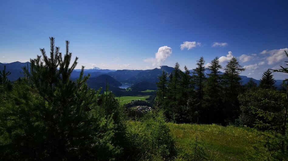 Wanderung Wanderung über FIS Umfahrung auf die Bürgeralpe - Touren-Impression #2.1 | © TV Hochsteiermark