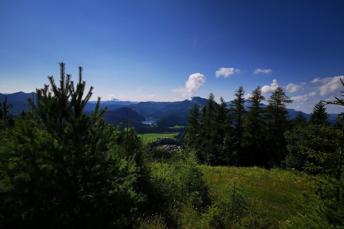 Wanderung Wanderung über FIS Umfahrung auf die Bürgeralpe - Touren-Impression #1 | © TV Hochsteiermark