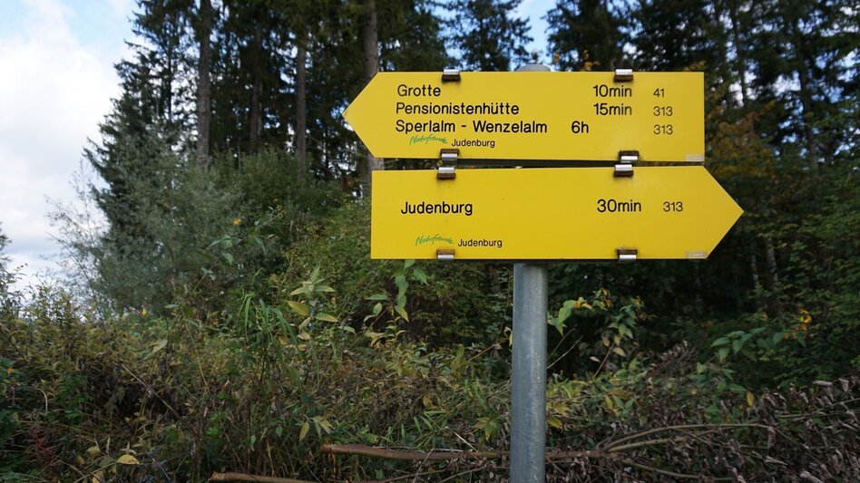 Hiking Route Hike to the Hölzlkogel - Touren-Impression #2.5 | © Erlebnisregion Murtal