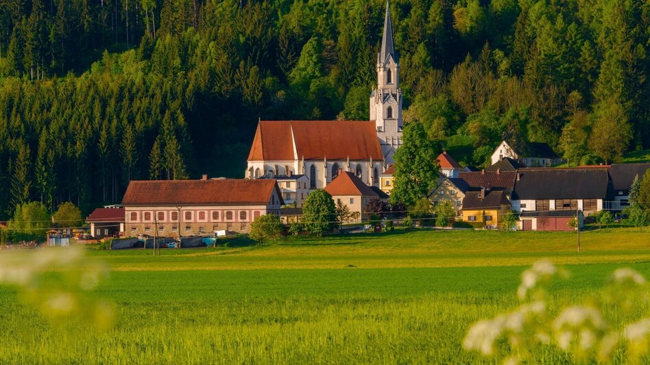 Wanderung Wanderung um den Liechtensteinberg - Touren-Impression #2.13 | © Erlebnisregion Murtal