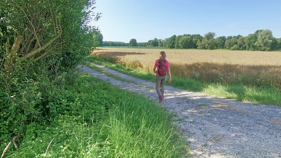 Wanderung Fischbach-St. Kathrein am Hauenstein-Runde, Fischbach - Touren-Impression #2.1 | © Oststeiermark Tourismus
