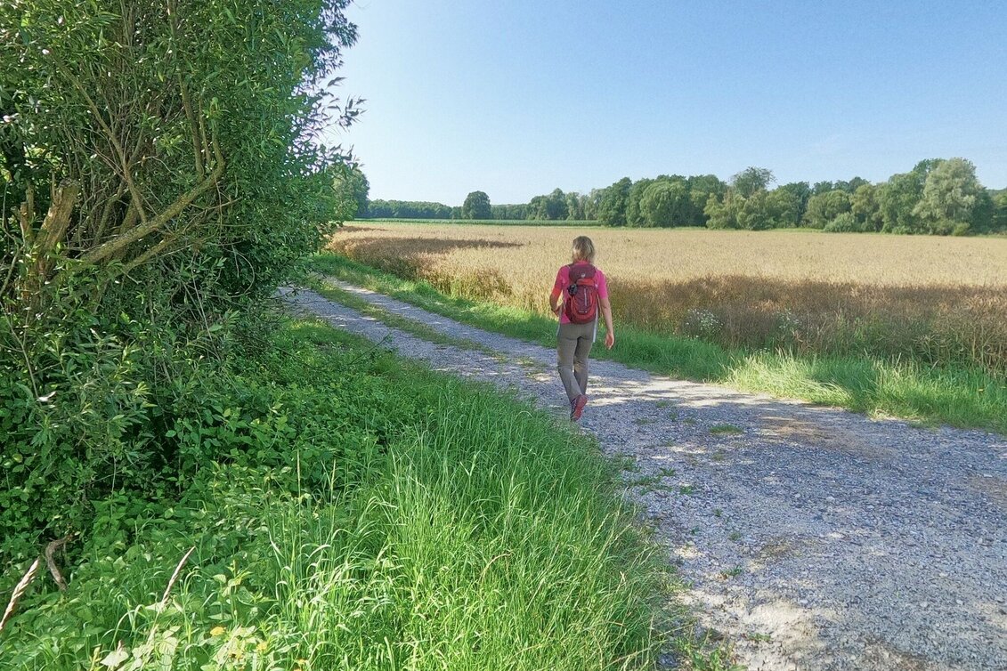 Wanderung Fischbach-St. Kathrein am Hauenstein-Runde, Fischbach - Touren-Impression #1 | © Oststeiermark Tourismus