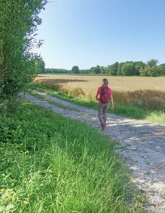 Wanderweg der Rundwanderung_Fischbach_Oststeiermark | WEGES | © Oststeiermark Tourismus