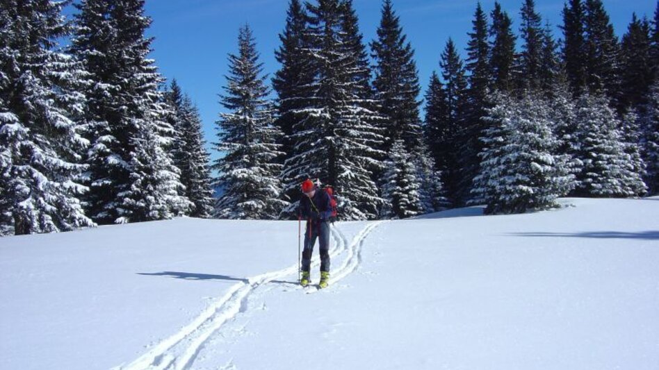 Ski Touring Skitour auf die Heukuppe - Touren-Impression #2.1 | © Fiona Ulm