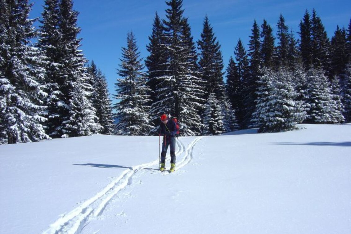Ski Touring Skitour auf die Heukuppe - Touren-Impression #1 | © Fiona Ulm