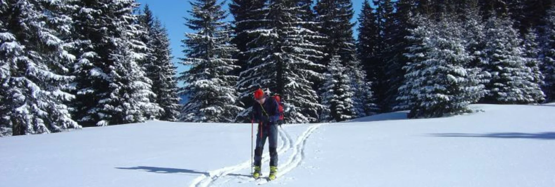 Ski Touring Skitour auf die Heukuppe - Touren-Impression #1 | © Fiona Ulm