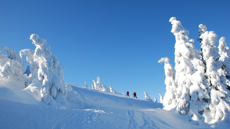 Ski Touring Skitour auf die Schneealm - Touren-Impression #2.1 | © Naturpark Mürzer Oberland