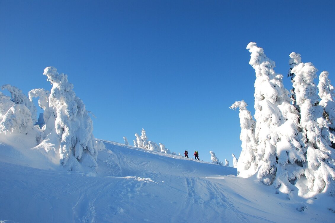 Ski Touring Skitour auf die Schneealm - Touren-Impression #1 | © Naturpark Mürzer Oberland