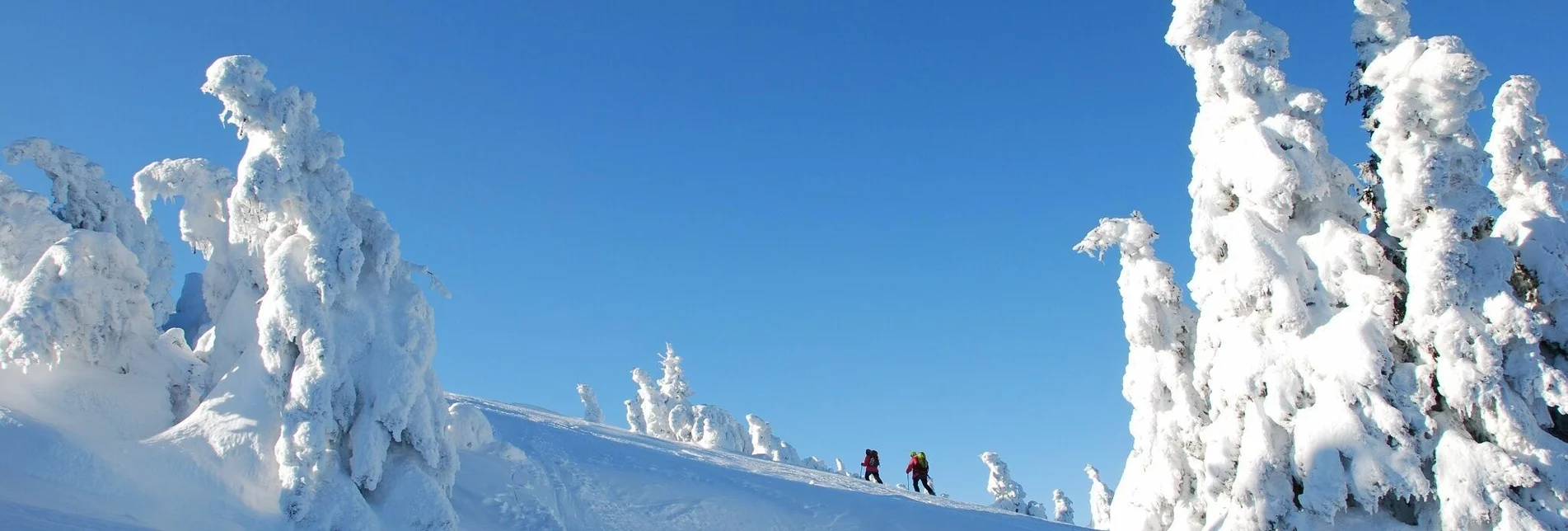 Skitour Skitour auf die Schneealm - Touren-Impression #1 | © Naturpark Mürzer Oberland