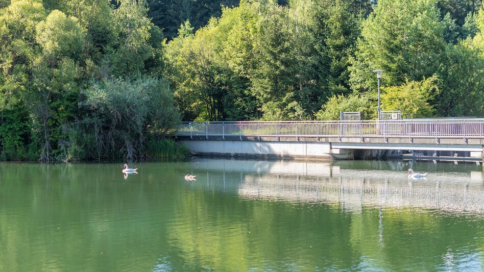 Wasserweg Murwaldrunde - Touren-Impression #2.14 | © Erlebnisregion Murtal