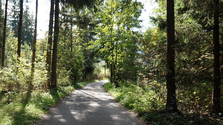 Wasserweg Murwaldrunde - Touren-Impression #2.9 | © Erlebnisregion Murtal