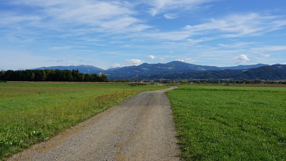 Wasserweg Murwaldrunde - Touren-Impression #2.13 | © Erlebnisregion Murtal