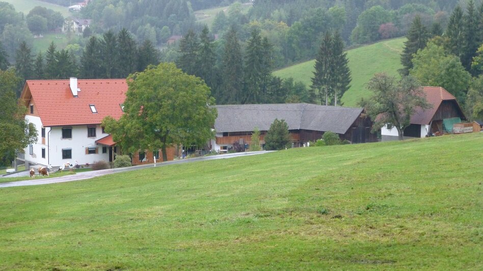 Hiking Route The Landlebn, Anger near Weiz - Touren-Impression #2.3 | © Oststeiermark Tourismus