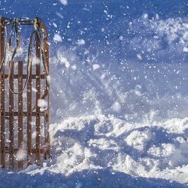 Wooden sleds on the Michaelerberg toboggan run | © Erlebnisregion Schladming-Dachstein