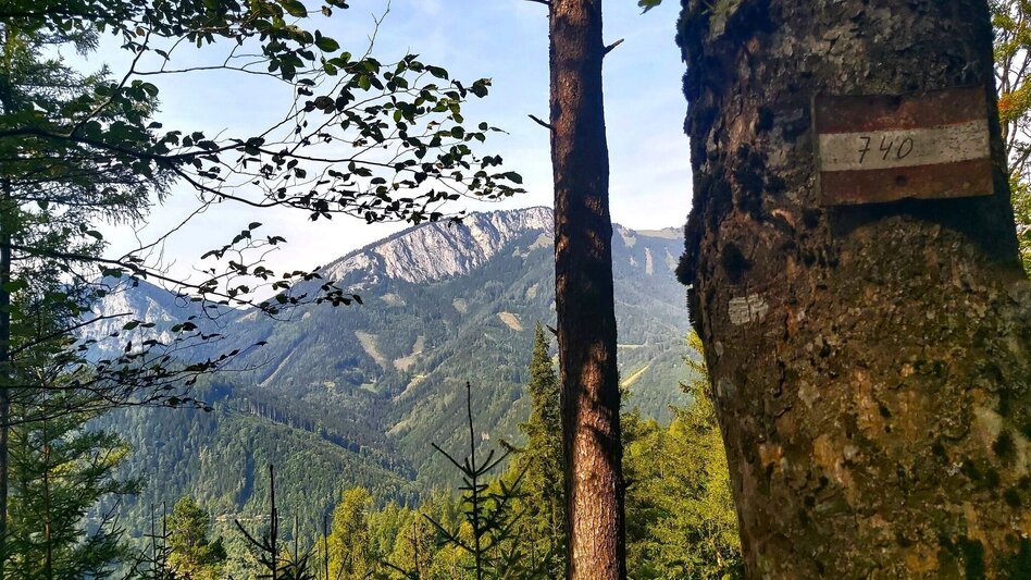 Wanderung Sulberg-Runde, Nechnitz - Touren-Impression #2.4 | © Oststeiermark Tourismus