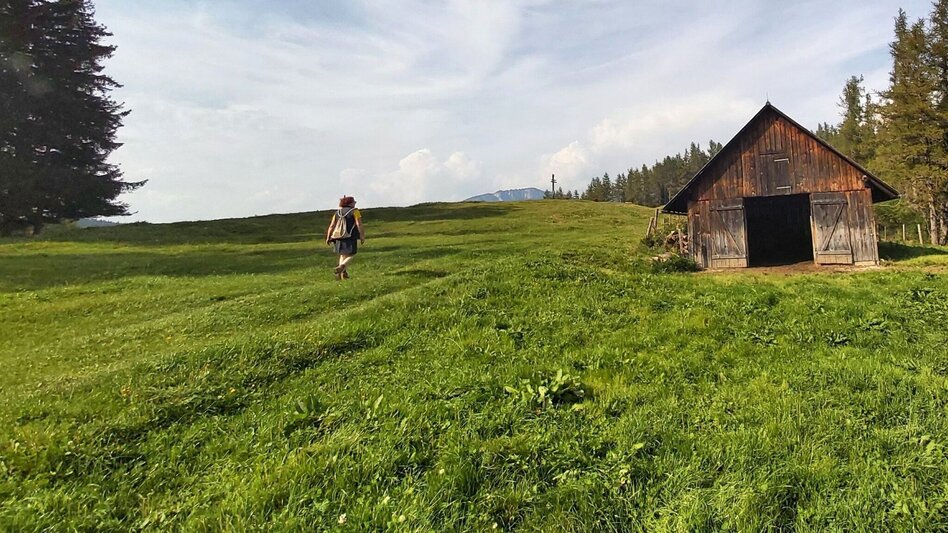 Wanderung Sulberg-Runde, Nechnitz - Touren-Impression #2.9 | © Oststeiermark Tourismus