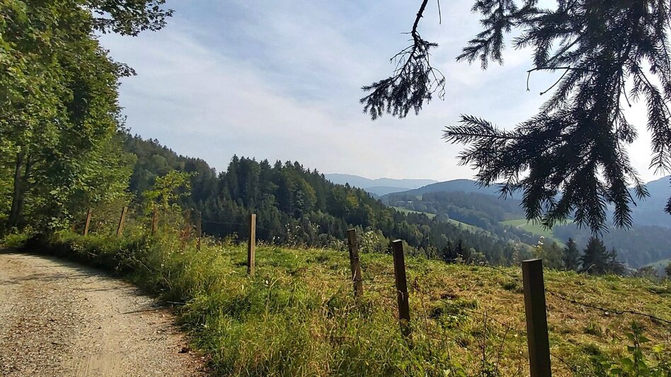 Wanderung Sulberg-Runde, Nechnitz - Touren-Impression #2.7 | © Oststeiermark Tourismus