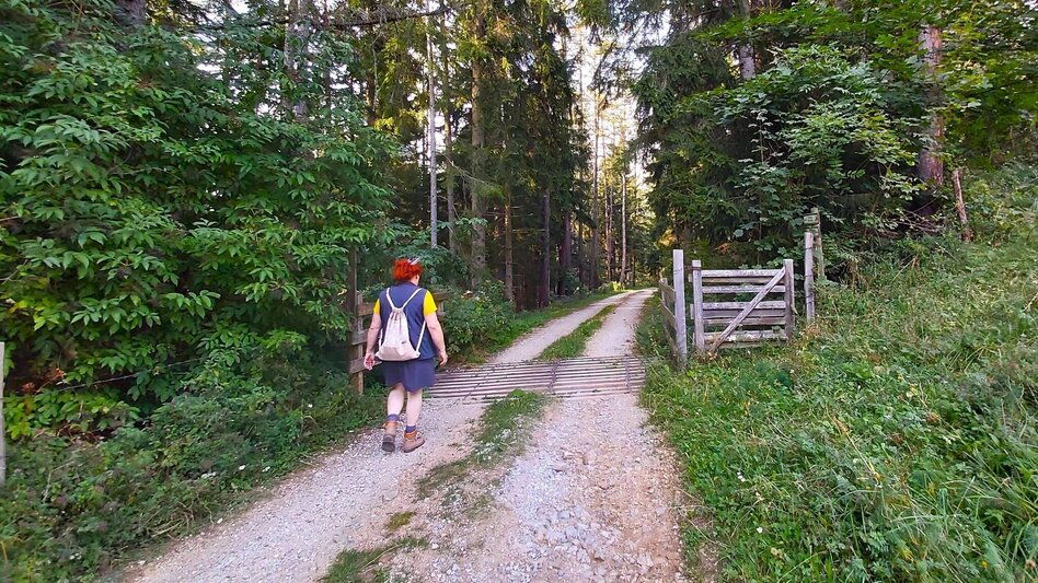 Wanderung Sulberg-Runde, Nechnitz - Touren-Impression #2.10 | © Oststeiermark Tourismus