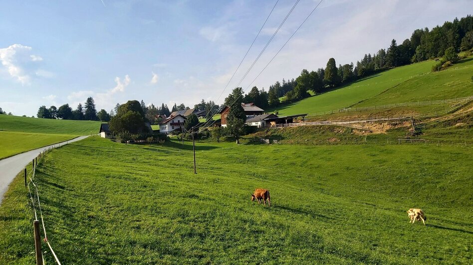Wanderung Sulberg-Runde, Nechnitz - Touren-Impression #2.11 | © Oststeiermark Tourismus