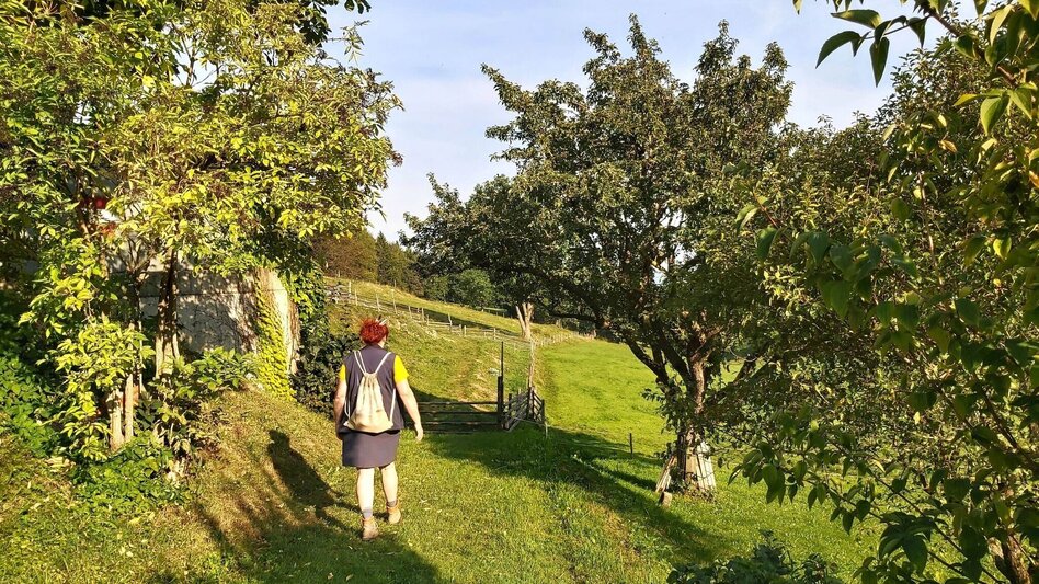 Wanderung Sulberg-Runde, Nechnitz - Touren-Impression #2.14 | © Oststeiermark Tourismus