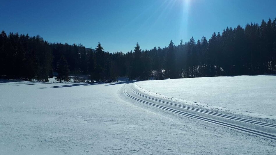Langlauf Skating Sonnenloipe auf der Pöllauer Höhe - Touren-Impression #2.2 | © Tourismusverband Murau