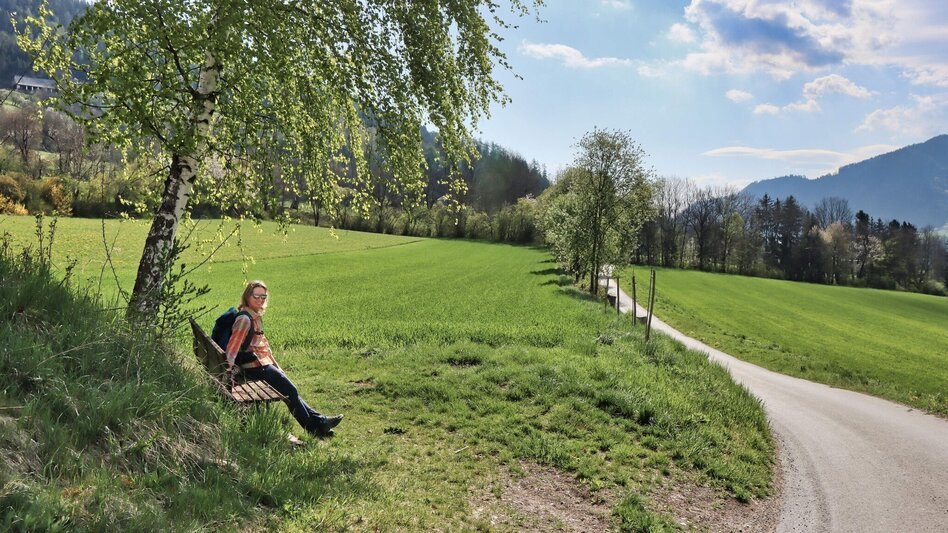 Hiking Route Habring via Nußmoaralm - Touren-Impression #2.1 | © Weges OG