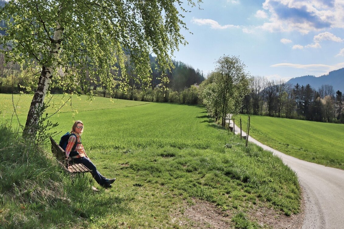 Hiking Route Habring via Nußmoaralm - Touren-Impression #1 | © Weges OG