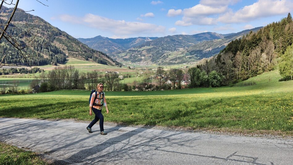 Hiking Route Habring via Nußmoaralm - Touren-Impression #2.2 | © Weges OG