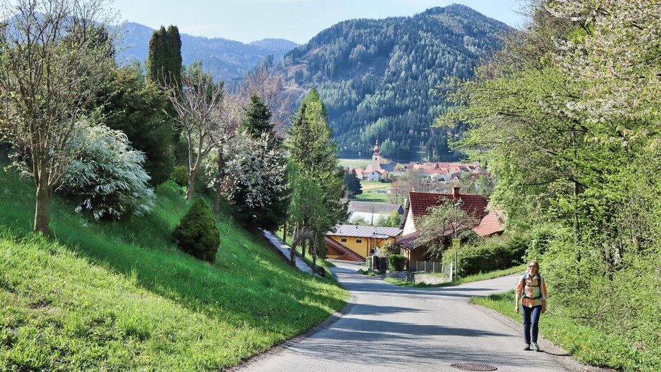 Hiking Route Habring via Nußmoaralm - Touren-Impression #2.4 | © Weges OG